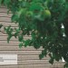Сайдинг Ю-Пласт TIMBERBLOCK Пихта (Тимберблок) Cахалинская купить в Рыбинске