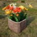 Цветник КАНЬОН купить в Рыбинске