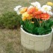 Цветник КАНЬОН купить в Рыбинске